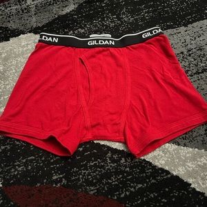 Gildan Trunks/Boxerbriefs - One (1) Small